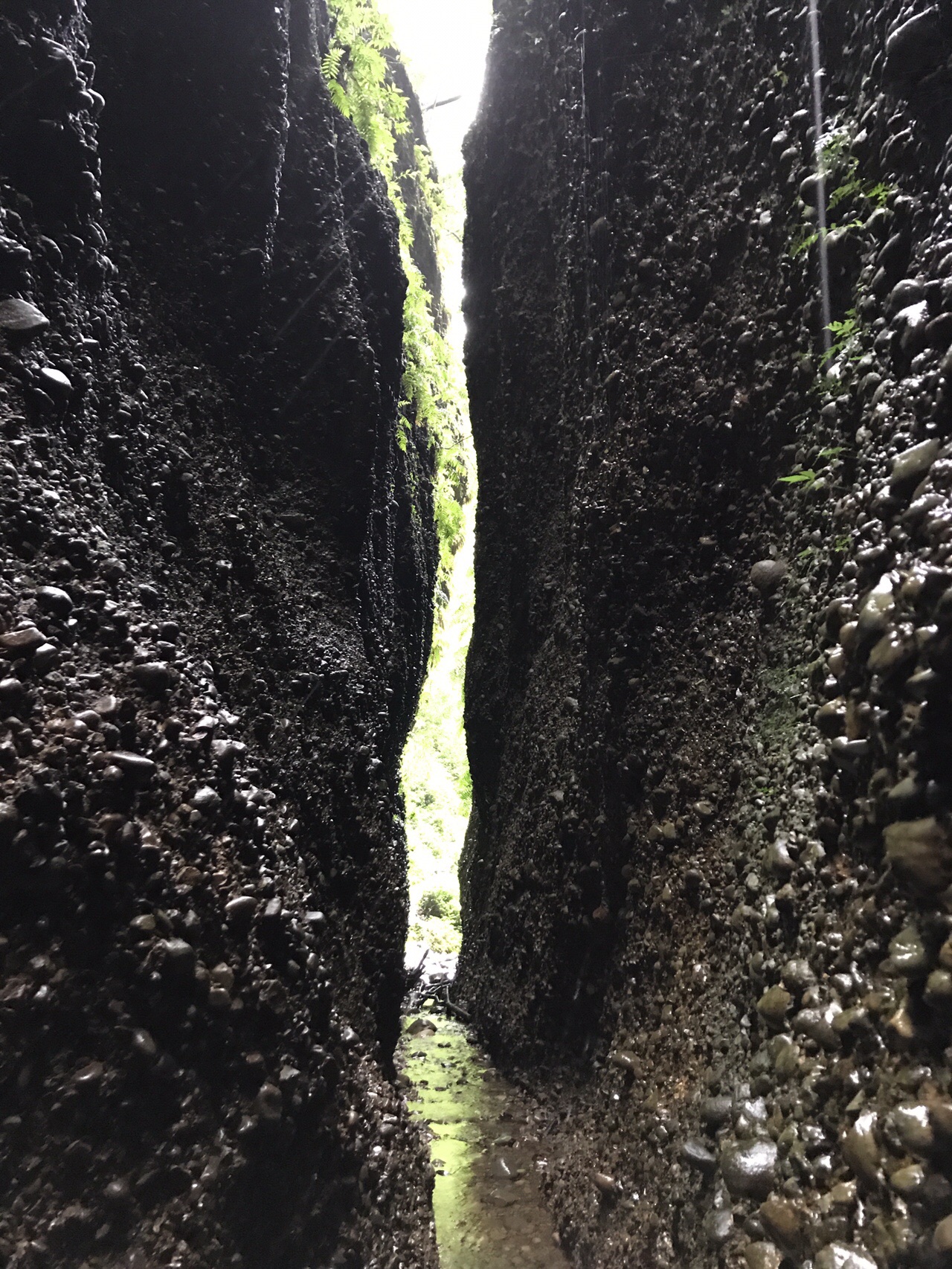 意外と危険な小笠山 たけぞーさんの小笠山の活動データ Yamap ヤマップ