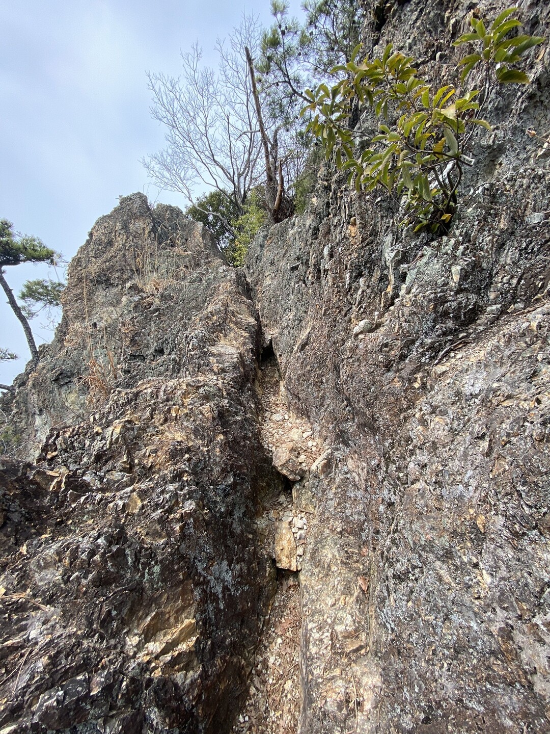 各務野自然遺産の森から八木三山縦走