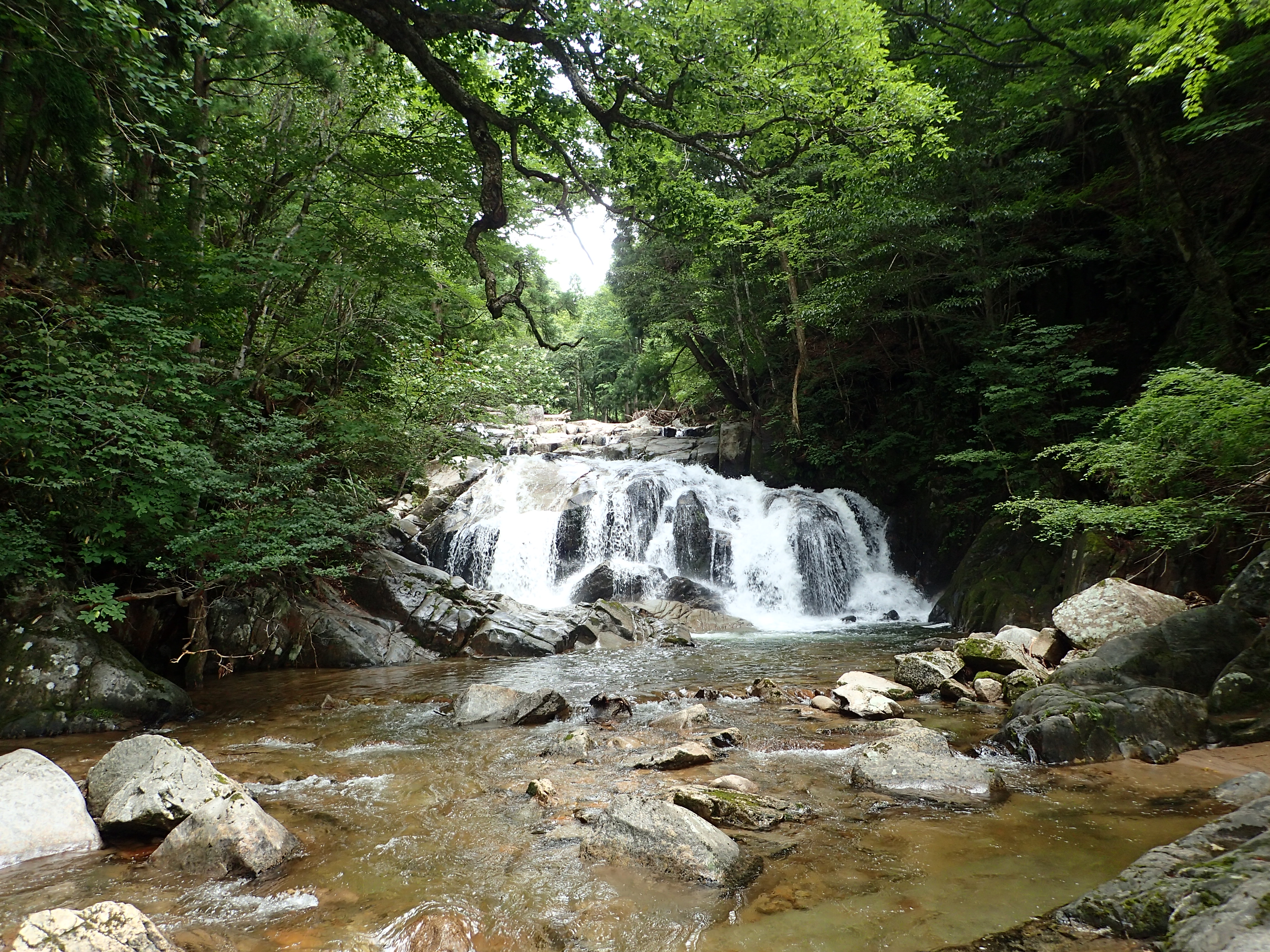 芦津渓谷 19 07 27 マーちゃんさんの篭山の活動データ Yamap ヤマップ