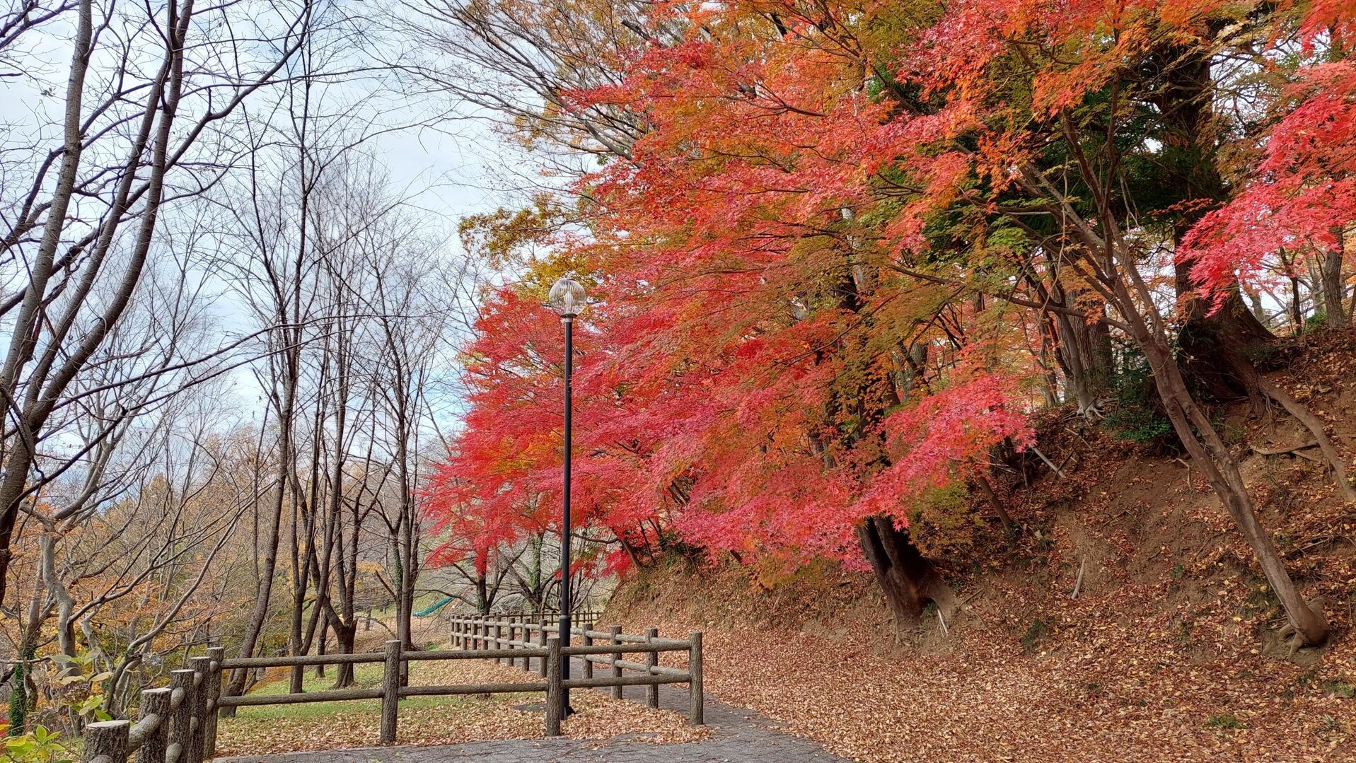 弁天山～十万劫山 購入ザックお試しラン🏃 / でぶたかさんの十万劫山の活動データ | YAMAP / ヤマップ