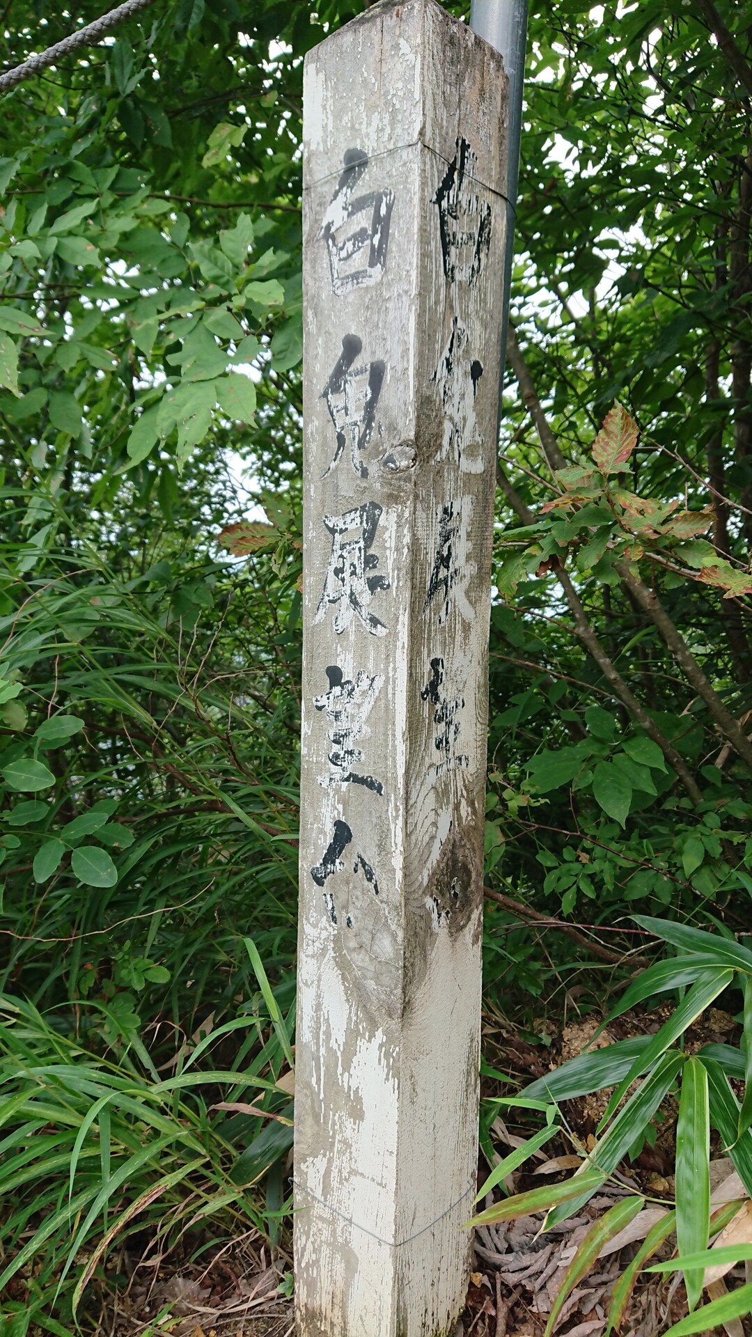ここは第二ベンチ あとがき 鬼ヶ岳の写真5枚目 白鬼展望台 以前はここにも同じような案 Yamap ヤマップ