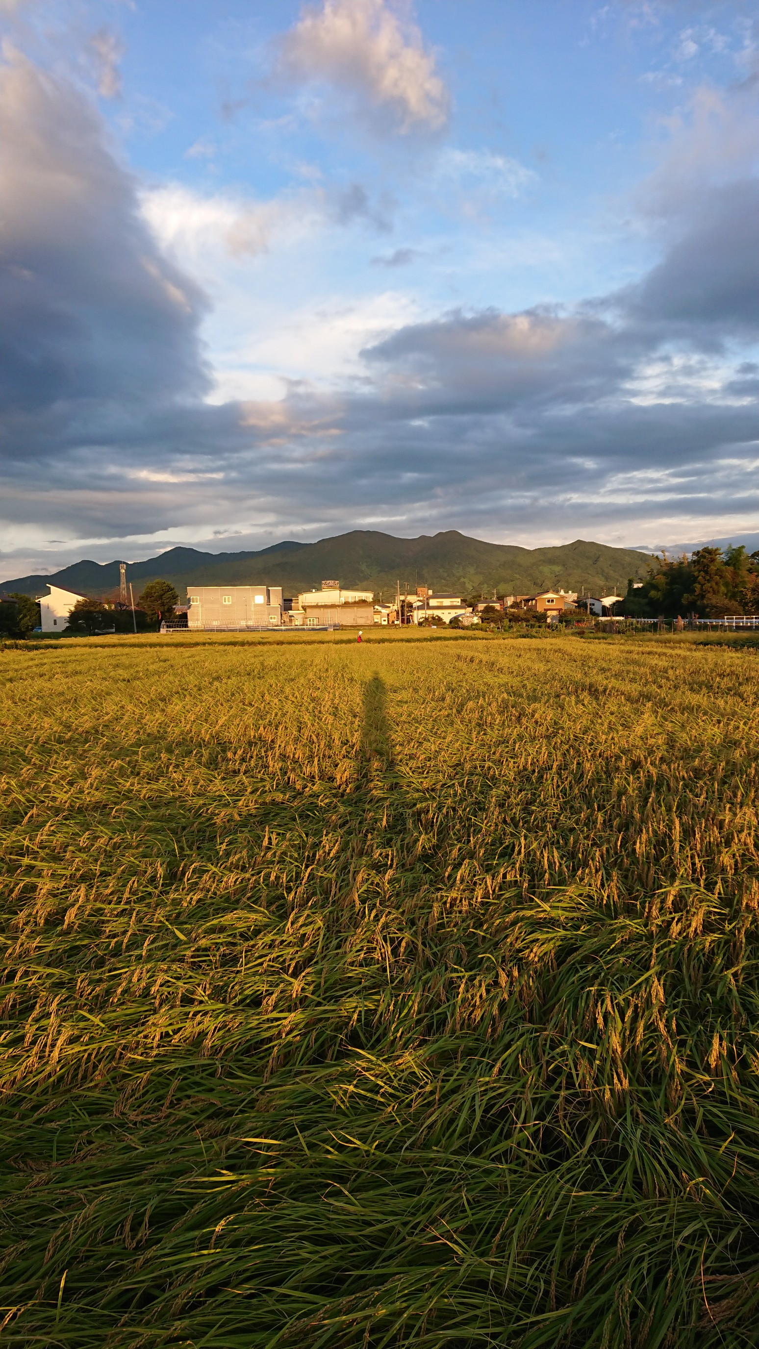 木六山・銀次郎山 足長おじさんと菅名岳
