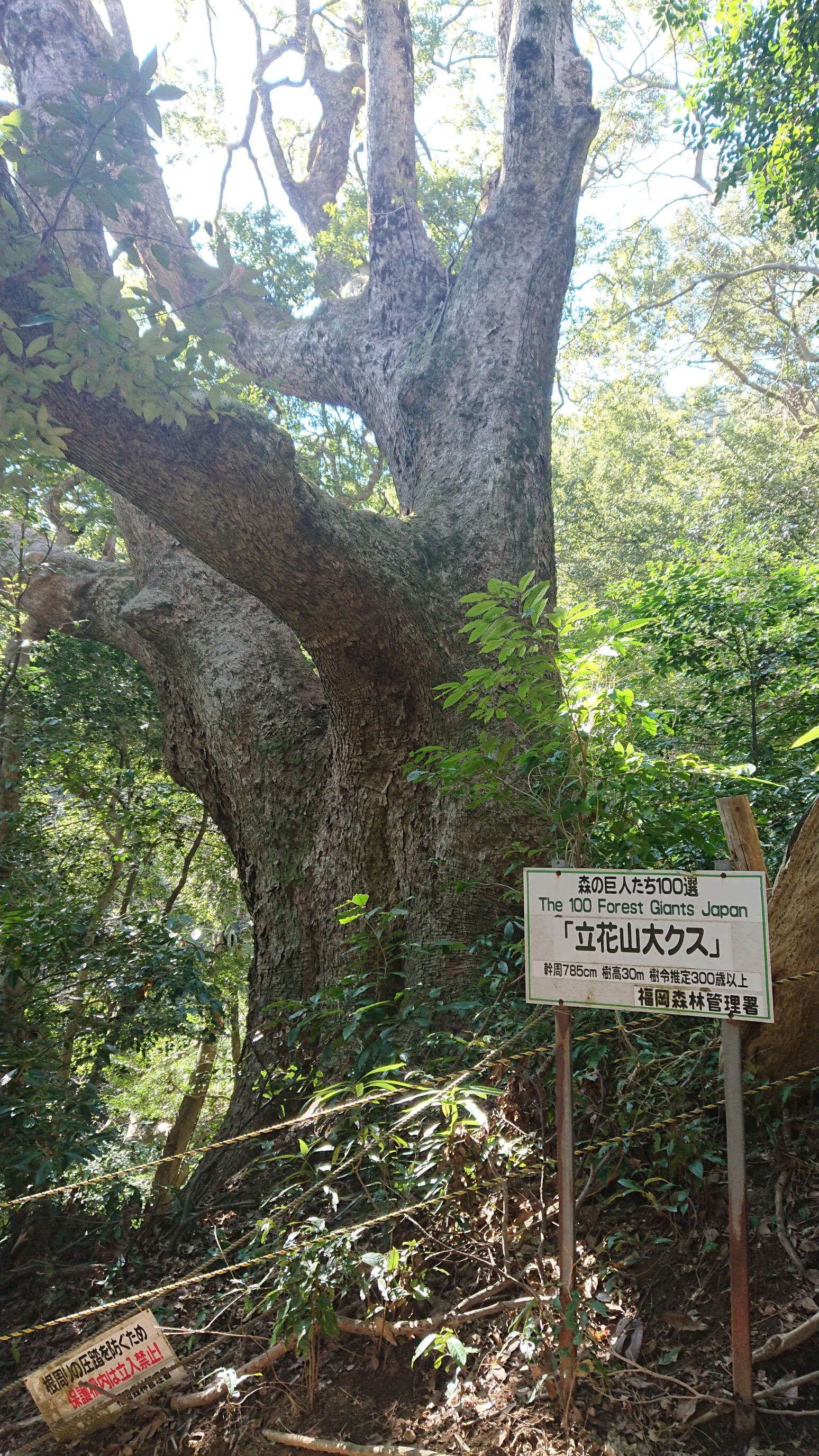ずっと行きたかった立花山 三日月山 𝓜𝓊𝓀𝓀𝓊𝓃𓀐さんの立花山 三日月山 城ノ越山の活動日記 Yamap ヤマップ
