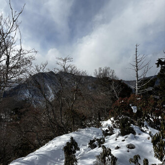 山伏・八紘嶺・笹山 帰りが遅くなると困るから帰ります。
やっぱり時間を見ると３日前、思い立ってのバラ段で10時スタートの15時下山は無理だった。
安倍峠の分岐を間違え無ければ行けたかな…などと考えますが今日は今日。この間はこの間。
私は登って素晴らしい景色を見たんだ！
ありがとうございます。