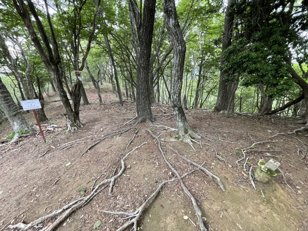鉢伏山 大阪府箕面市 大阪 の登山 山頂 天気 人気のルート 最新の記録 Yamap ヤマップ