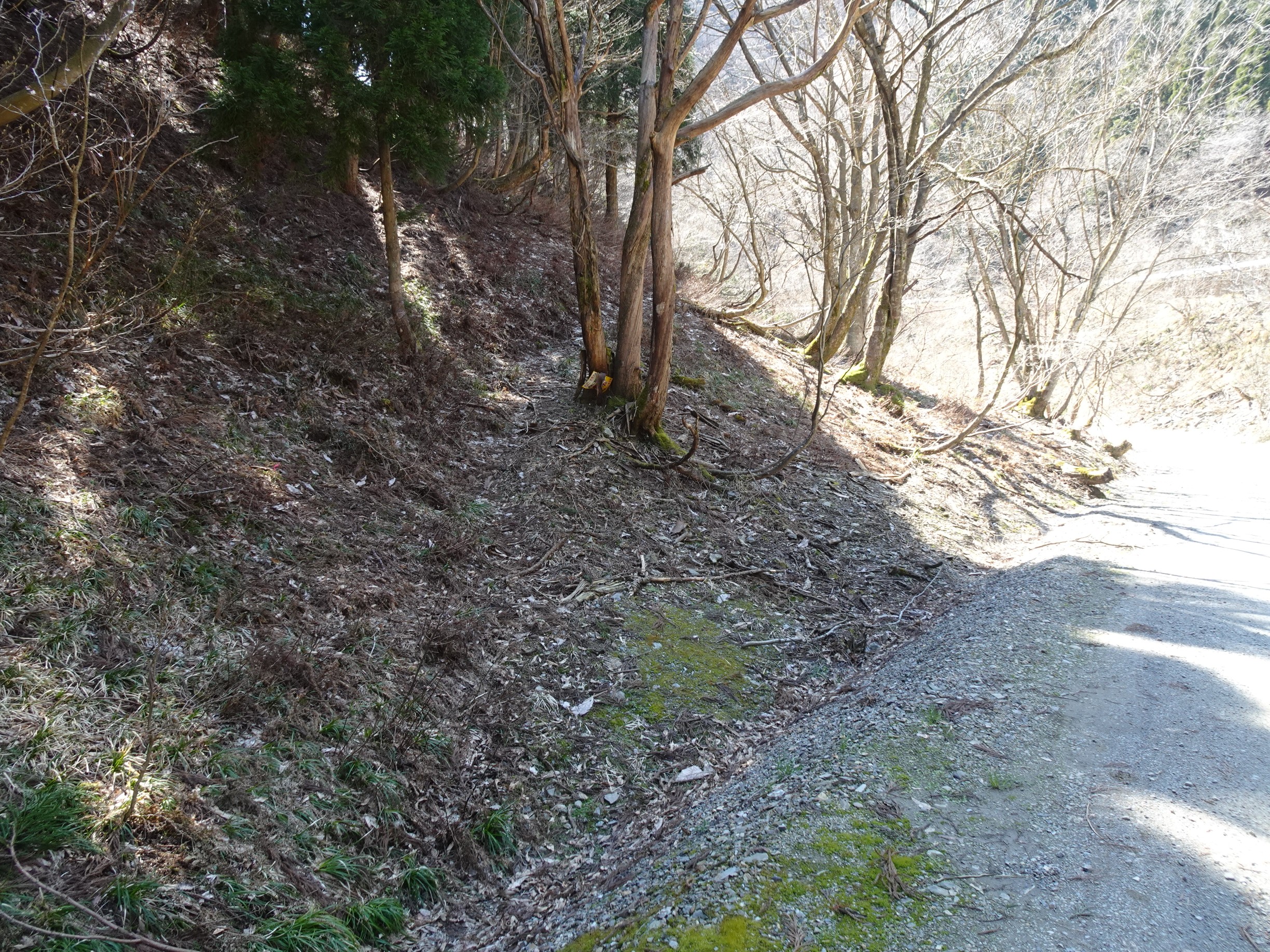 箱館山から平池へ 04 07 ヤースケさんの箱館山の活動データ Yamap ヤマップ