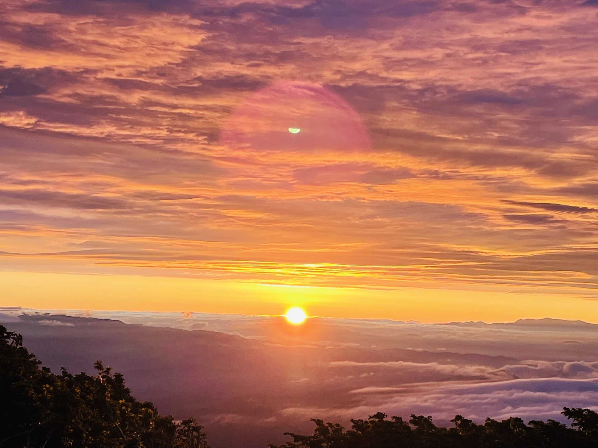 ｷﾀ━━━━━━＼(ﾟ∀ﾟ)／━━━━━━━ｯ!!