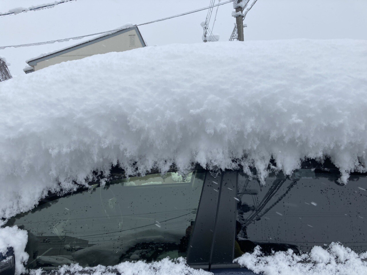 事故車のせいで渋滞にハマりました 雪 いささんのモーメント Yamap ヤマップ