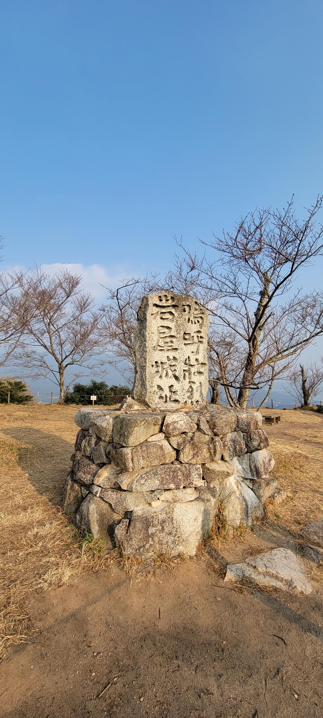 薬師丸 ひろ子 ベスト アルバム