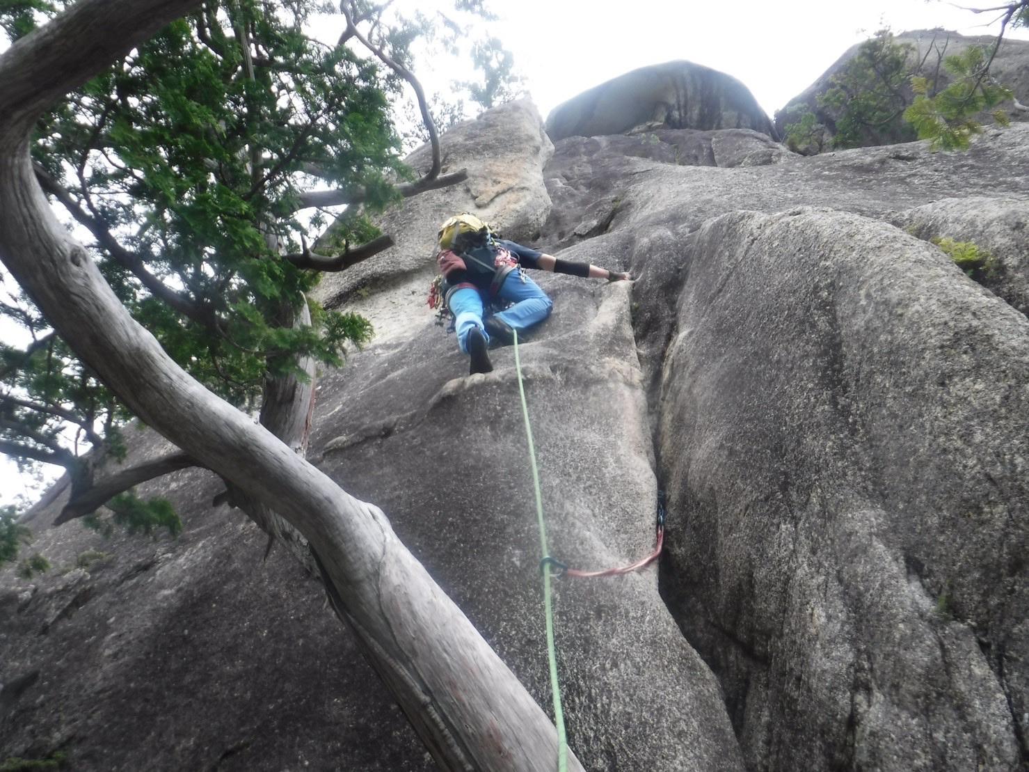 みっくん 青森県岩木山採取　あけび蔓　長 短 各1kg　合計2kg 練習用 みっくん 青森県岩木山採取 あけび蔓 長 短 各1kg 合計2kg 練習