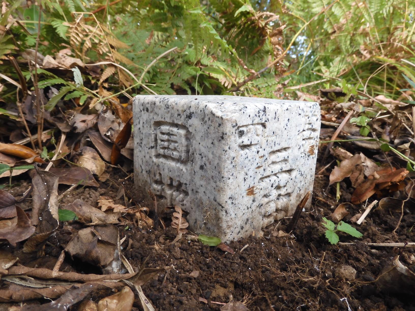 城岳山頂の四等三角点（点名：城岳）