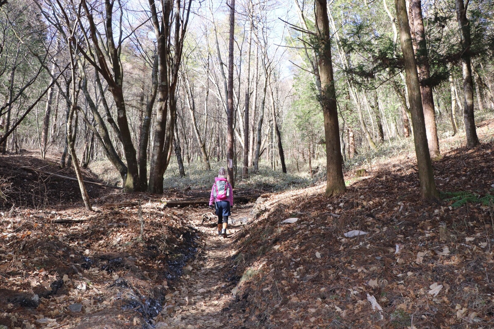 榛名山 掃部ヶ岳 19 12 08 Natsu さんの榛名山 天狗山 天目山の活動日記 Yamap ヤマップ