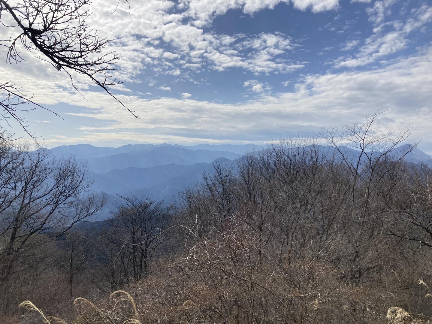 正丸〜飯盛山〜関八州見晴台〜西吾野