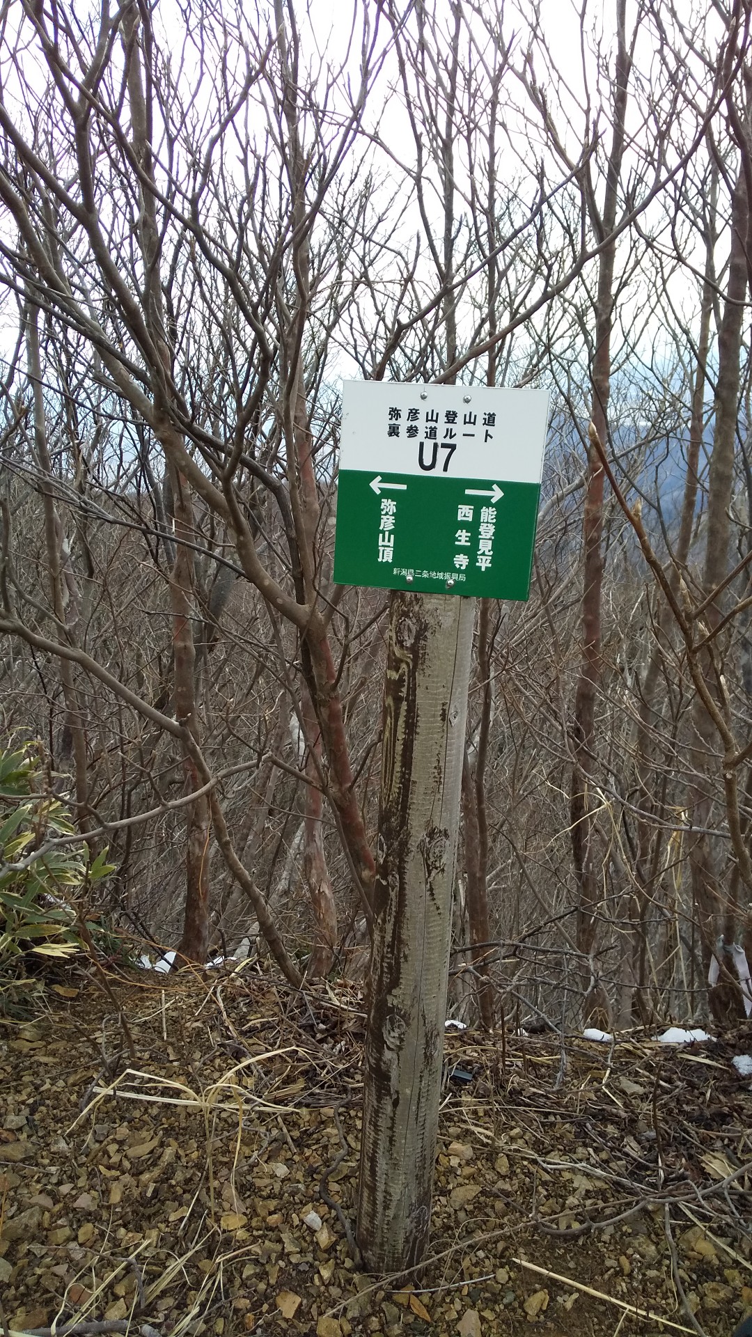 弥彦山塊縦走トレーニング 02 21 Katsu Matsuさんの弥彦山 多宝山 雨乞山の活動日記 Yamap ヤマップ