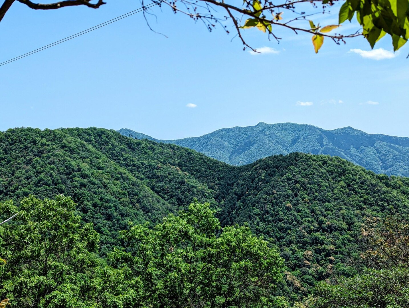 5-yamap
