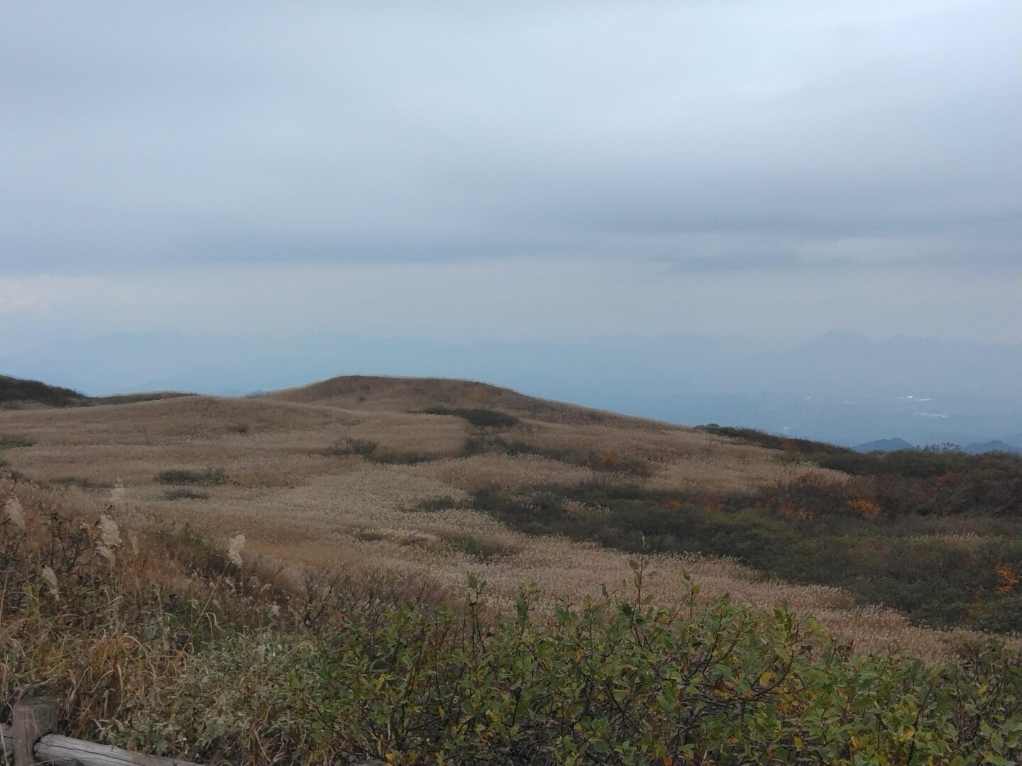 孫三瓶山・子三瓶山・男三瓶山(三瓶山) / ともさんの三瓶山・大平山の活動データ YAMAP / ヤマップ