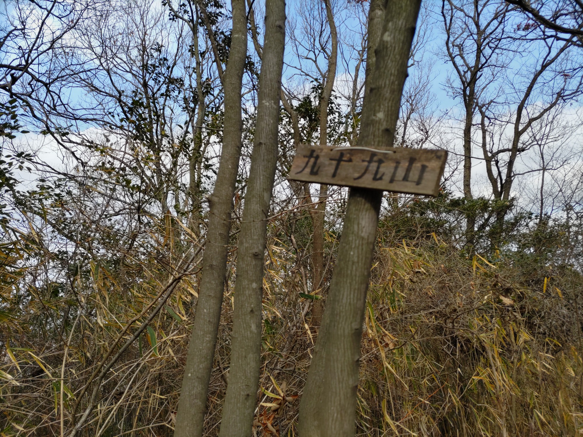 九十九山（岡山県）の最新登山情報 / 人気の登山ルート、写真、天気