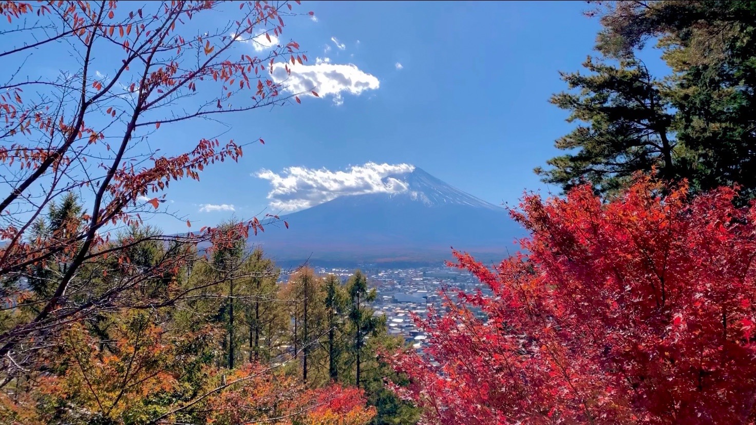 晩秋の新倉山で紅葉刈りハイク 渋滞にバッチリハマって周回に終わる Merrystyletさんの三ッ峠山 本社ヶ丸 鶴ヶ鳥屋山の活動日記 Yamap ヤマップ