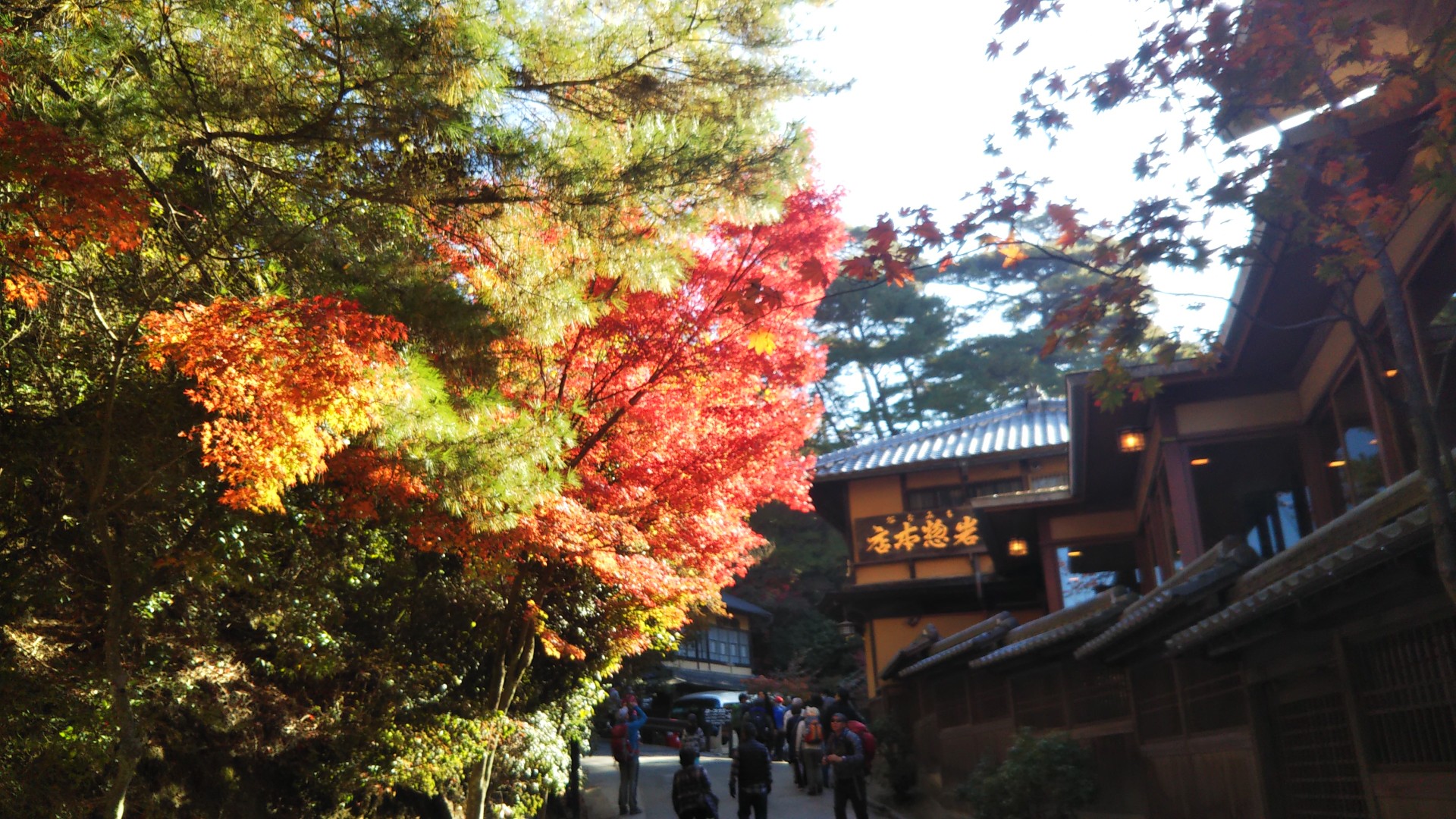宮島紅葉を愛でに つよぼうさんの宮島 厳島 弥山の活動データ Yamap ヤマップ
