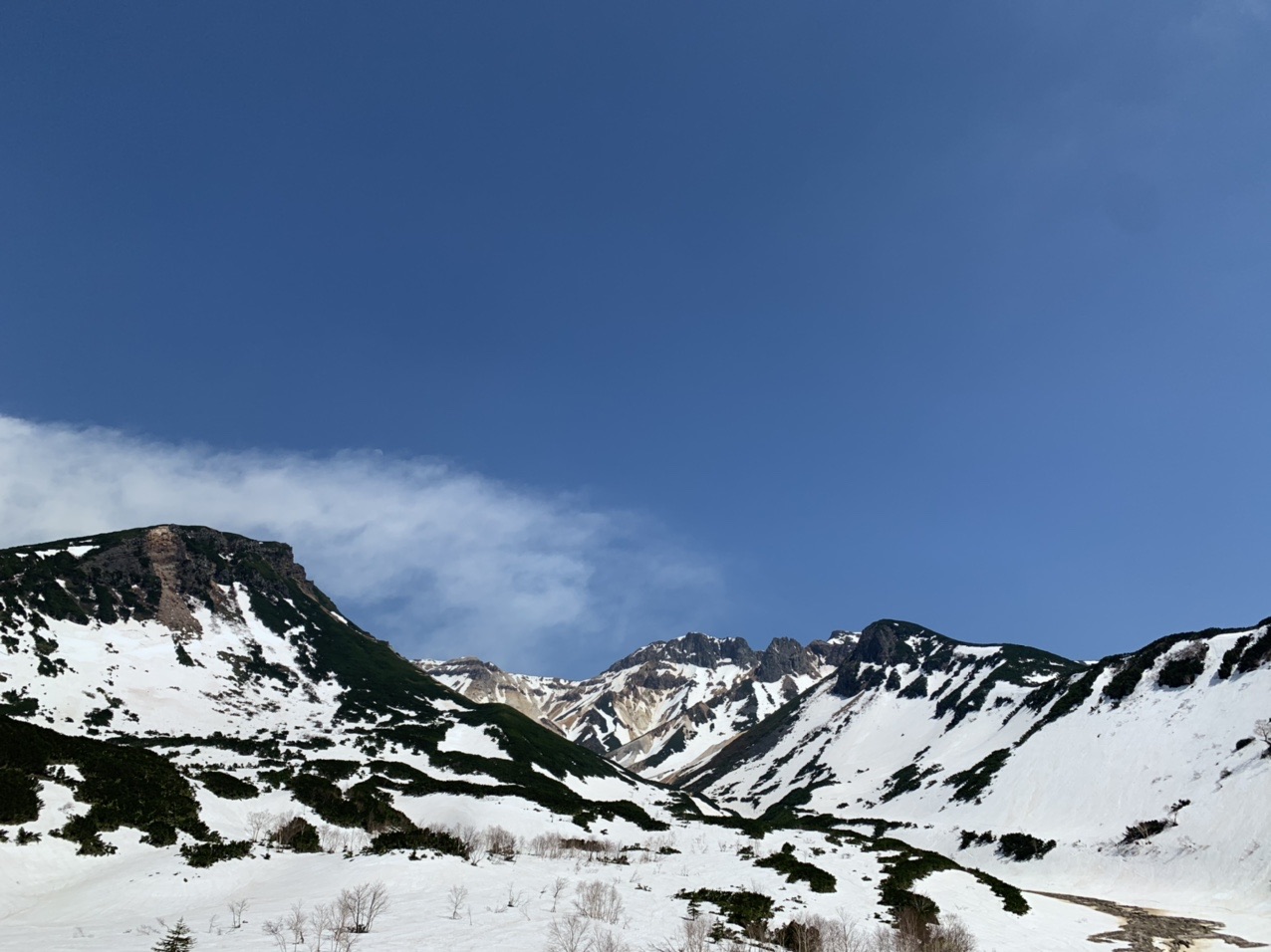 ゼブラを満喫 安政火口 21 05 Momo さんの十勝岳 富良野岳 美瑛岳の活動データ Yamap ヤマップ