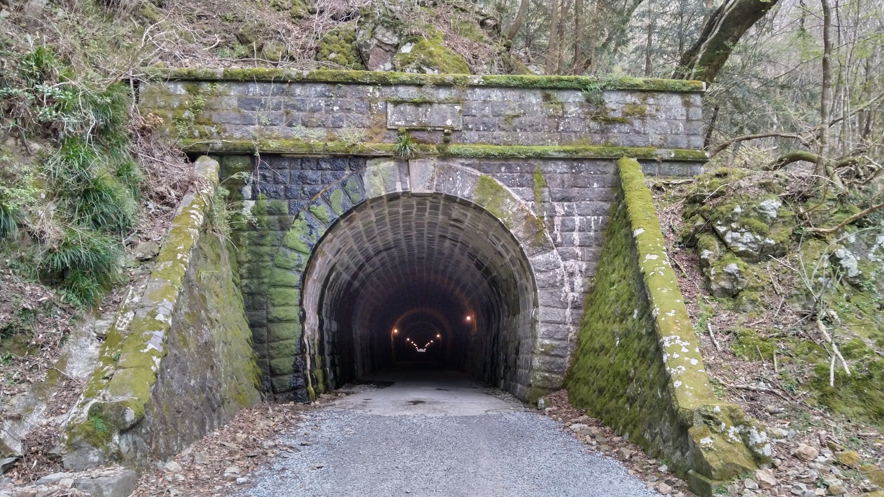 Sea To Summitチャレンジ 天城連山縦走 04 16 さどっきーさんの天城山 鉢ノ山 三筋山の活動データ Yamap ヤマップ