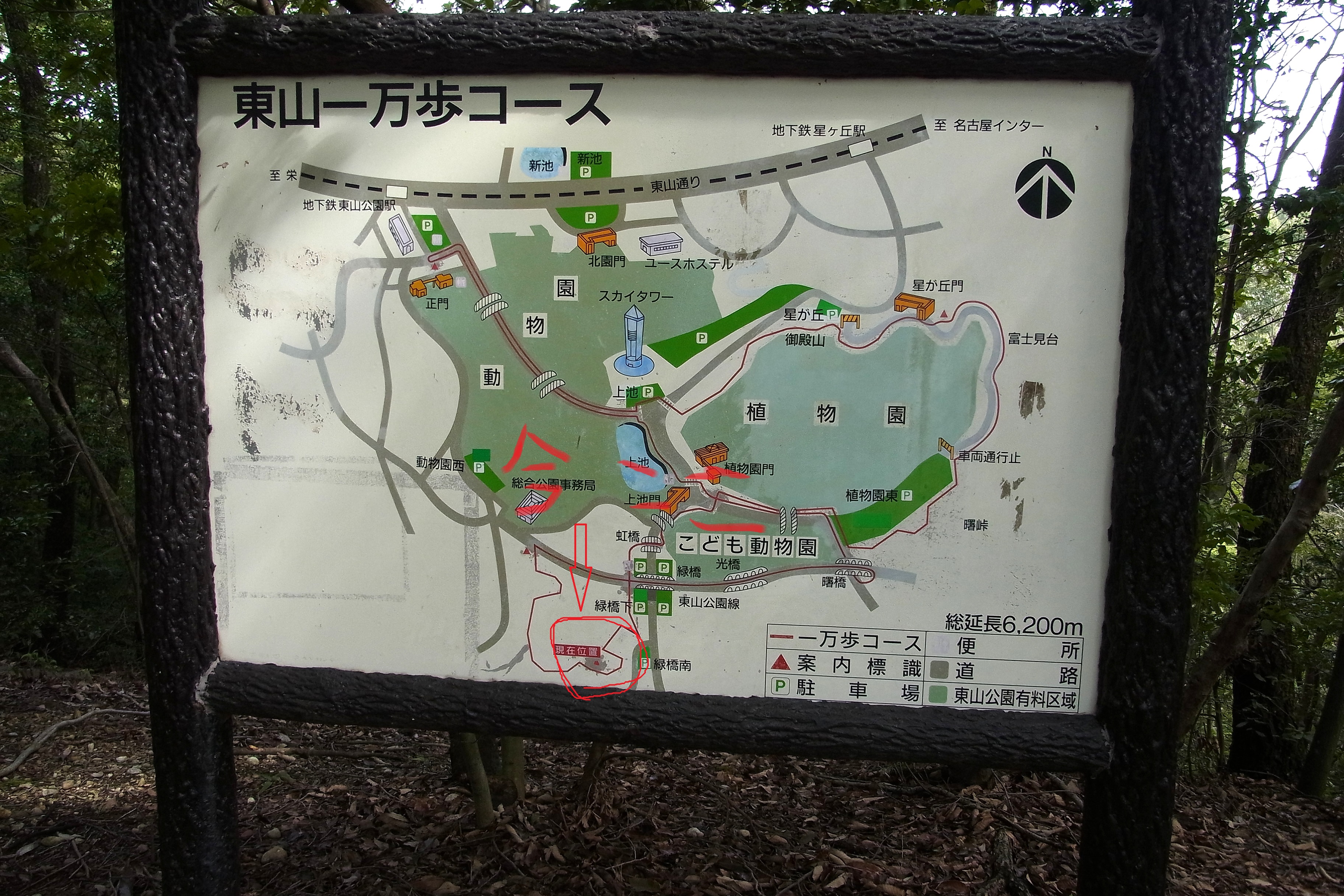 東山公園一万歩コース 宇宙さんの名古屋市の活動データ Yamap ヤマップ