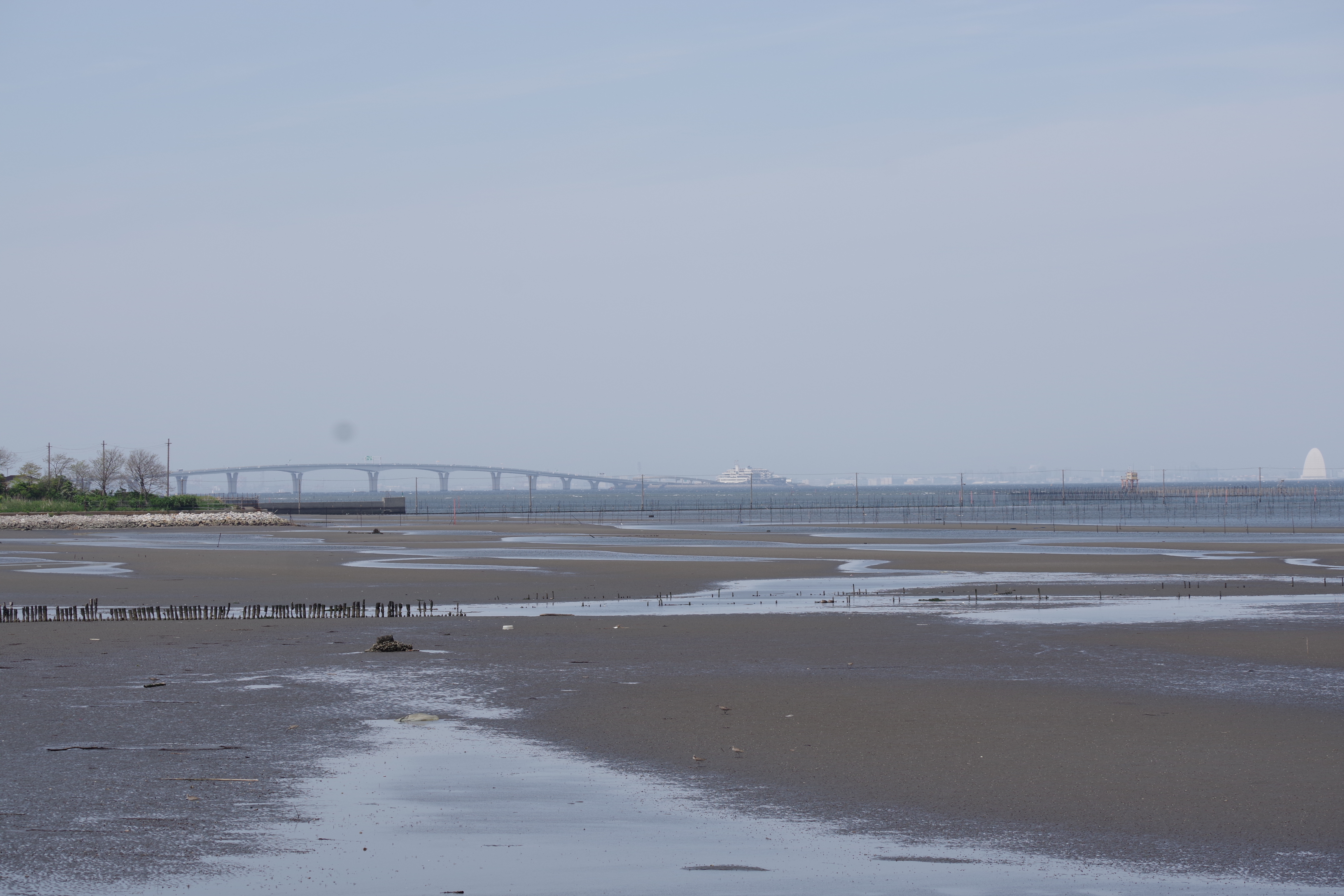 袖ヶ浦海浜公園 まさやん 袖 さんの木更津市の活動データ Yamap ヤマップ