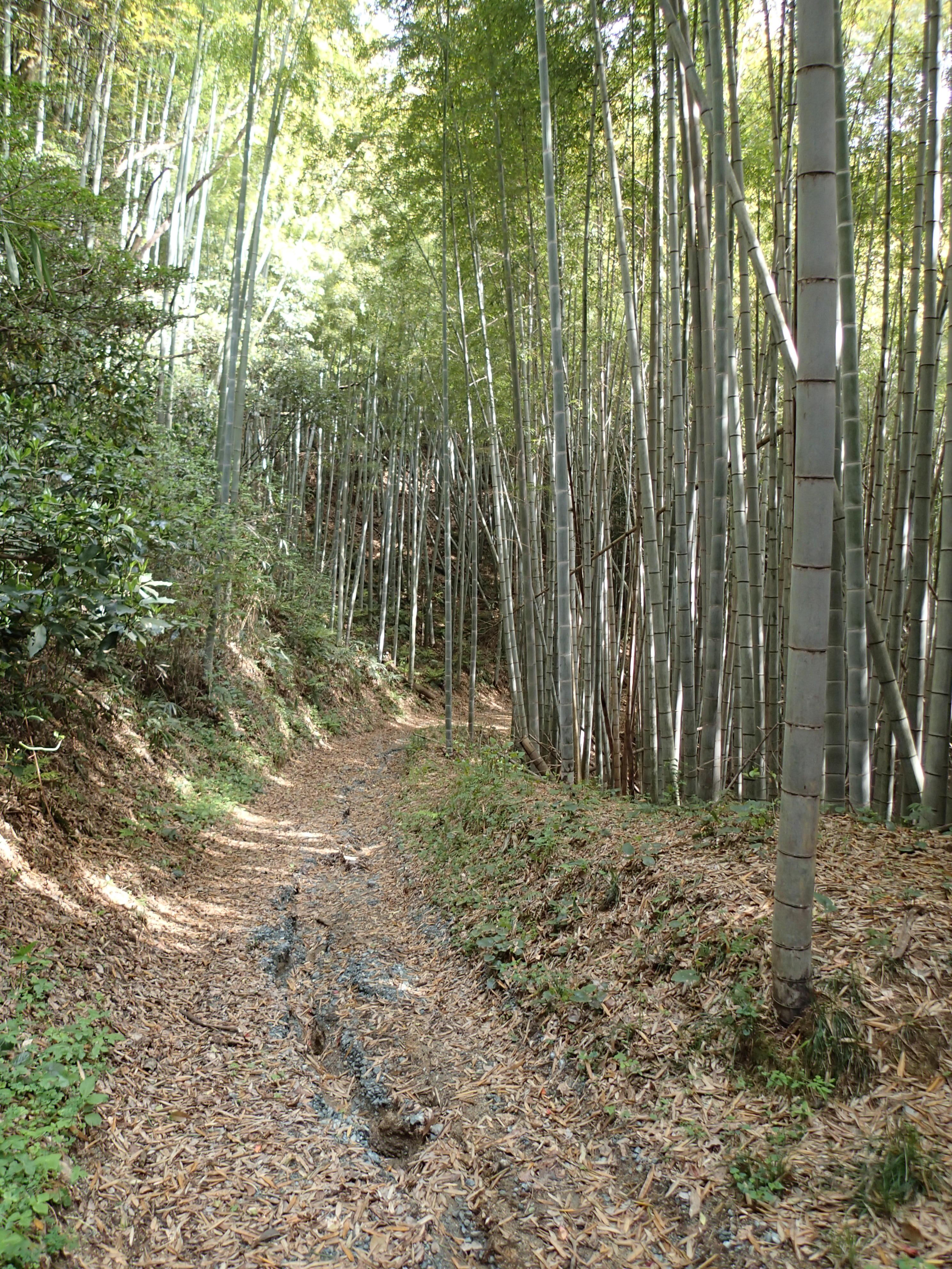 熊野街道 松坂道 Jr栃原駅 Jr松阪駅 大台町 多気町 松阪市 Naonaka0217さんの熊野古道伊勢路その1の活動データ Yamap ヤマップ