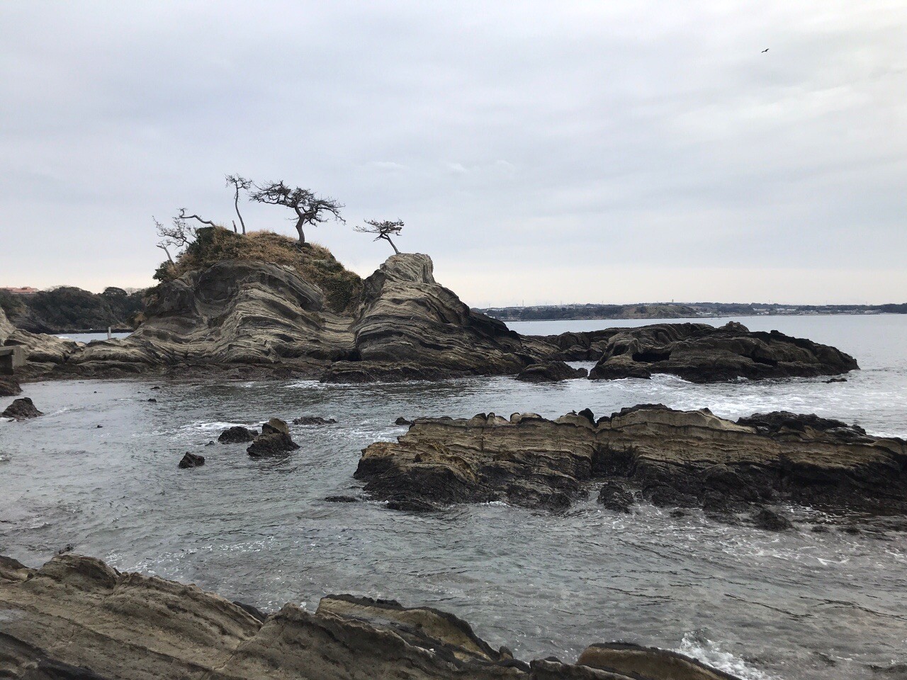 三浦 黒崎の鼻 潮騒のみち Mおやじさんの三浦市の活動日記 Yamap ヤマップ