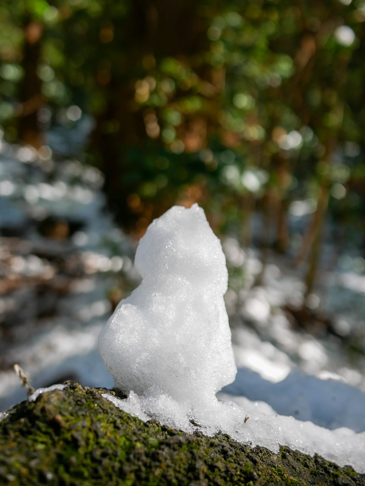 トトロに逢えた雪景色の筑波山 三人息子のママさんの筑波山の活動データ Yamap ヤマップ