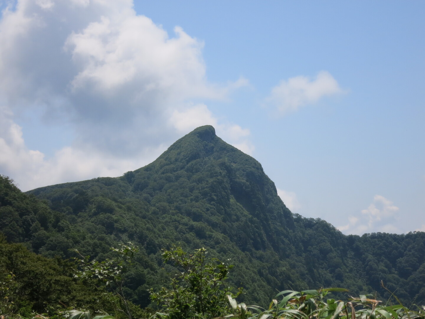 冠山(岐阜県・福井県)20190717 / マス マスさんの冠山・金草岳の活動データ YAMAP / ヤマップ