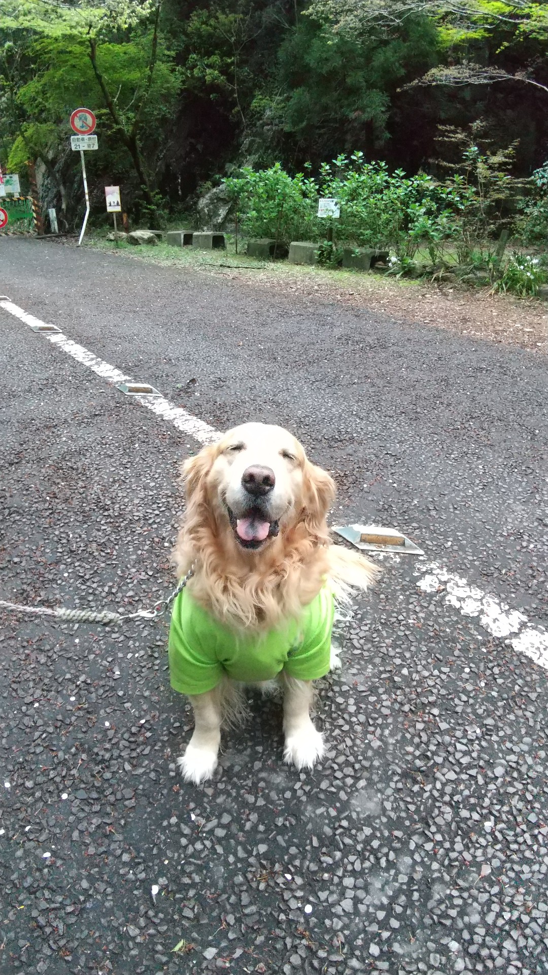 金華山 山笑う 犬笑う コーギーさんの金華山 岐阜県 洞山 舟伏山の活動データ Yamap ヤマップ