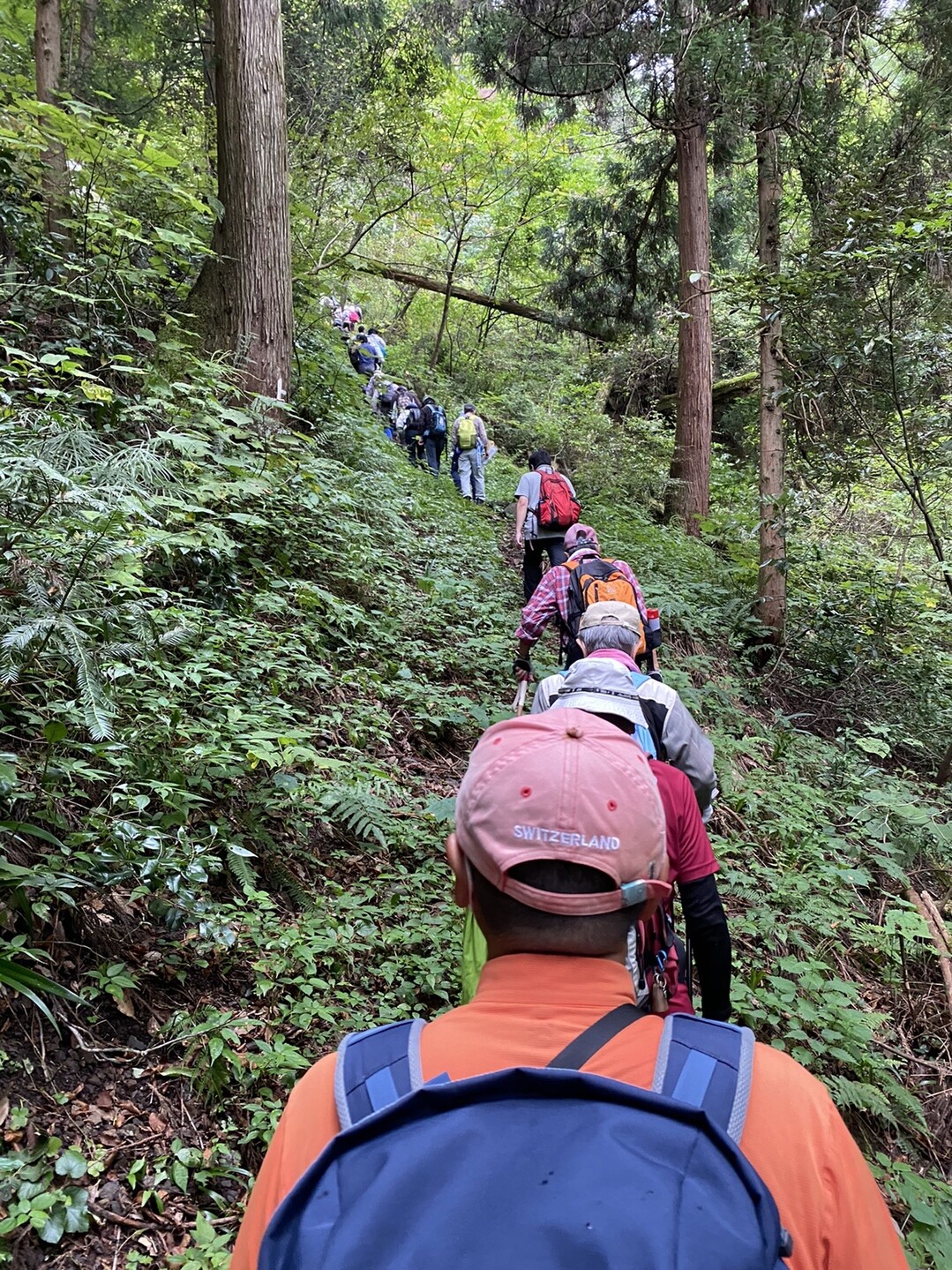 一乗谷城 英林塚ルート開通記念登山 / 瀬戸さんの一乗城山の活動日記 YAMAP / ヤマップ
