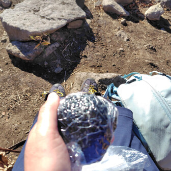 山頂で山菜オニギリ食べました