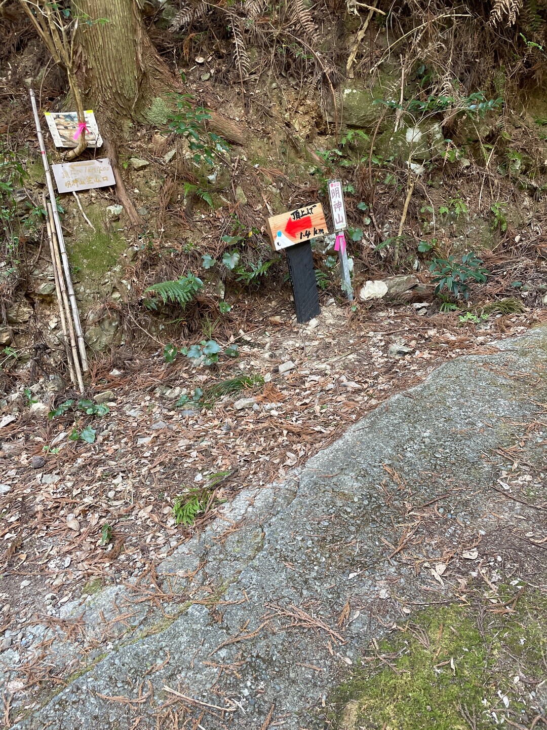 明神山 / 明神山の写真5枚目 / 山道になります YAMAP / ヤマップ