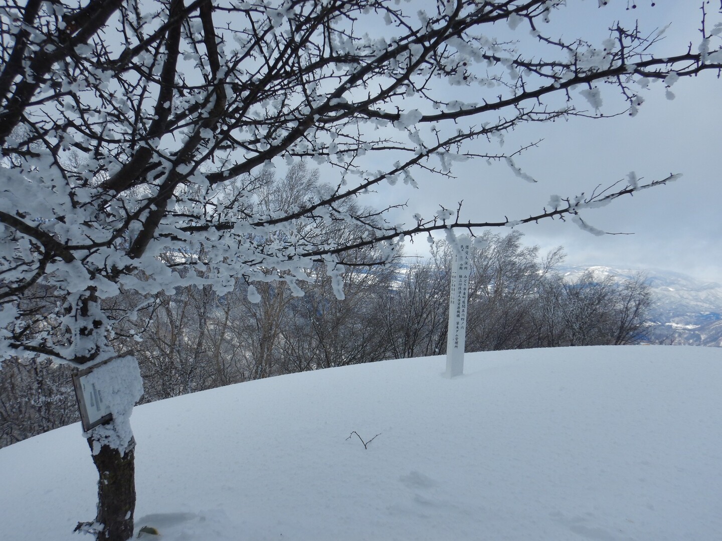 SNOW PLAKテスト＠赤城（小黒檜山） / NejimakiBirdさんの赤城山・黒