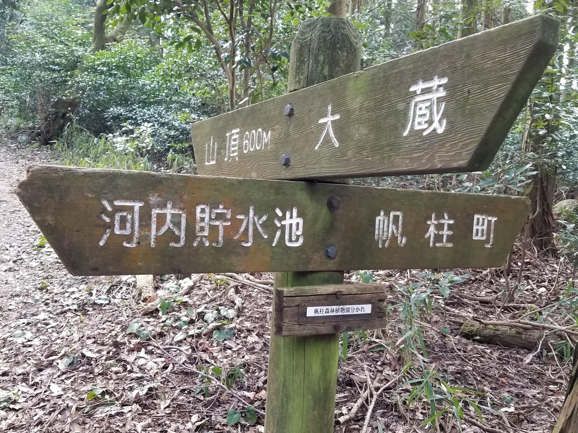 大蔵登山口から皿倉山 小じわたる美さんの皿倉山 花尾山 帆柱山の活動日記 Yamap ヤマップ