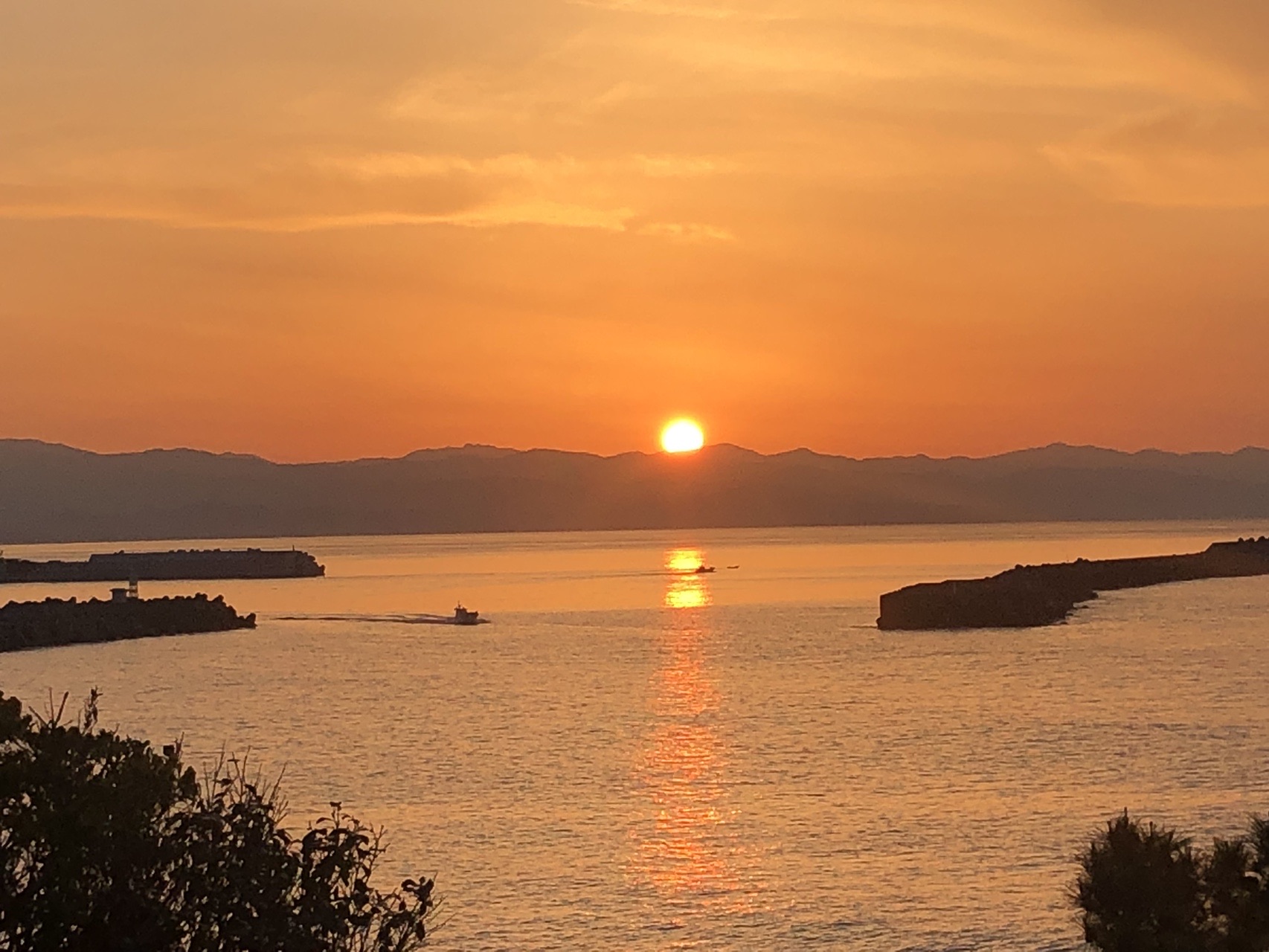 日本の夜明けぜよ 桂浜から五台山散策 ジュッピーさんの五台山 鉢伏山 大平山の活動日記 Yamap ヤマップ