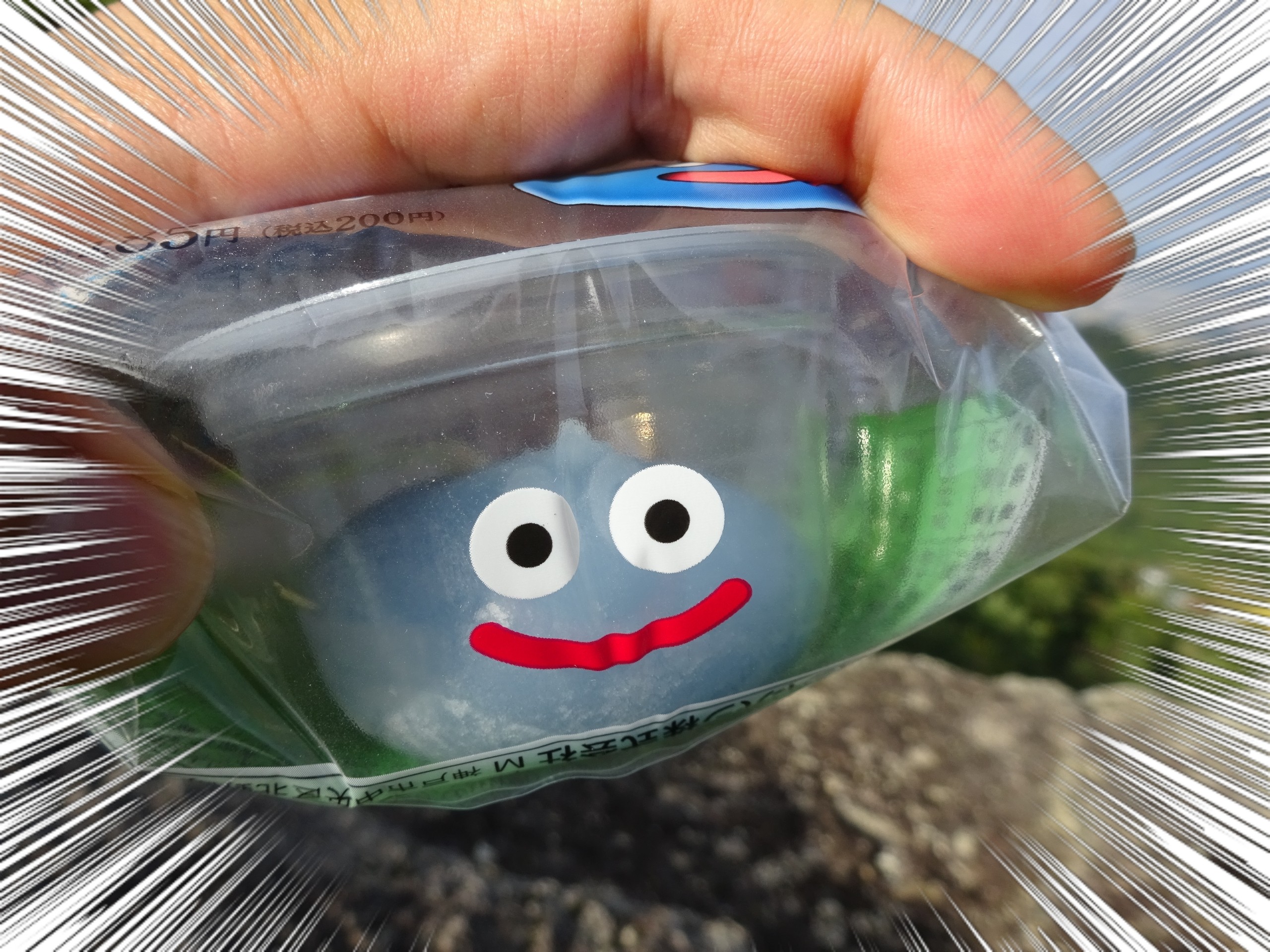 メタルスライムが あらわれた でかたるさんの文殊山 一年峰の活動データ Yamap ヤマップ