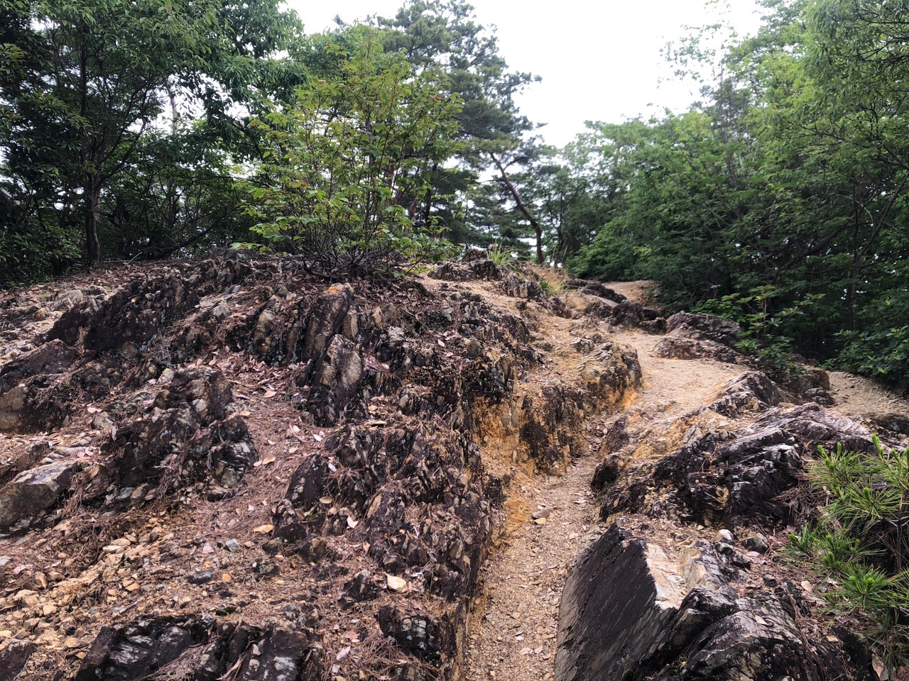 両崖山・仙人ヶ岳・石尊山 しばらくは岩場