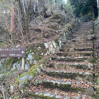 登山者多いので大山登るの諦めて岳ノ台へ。岳ノ台登ってた人１人だけでしたね不人気じゃ。