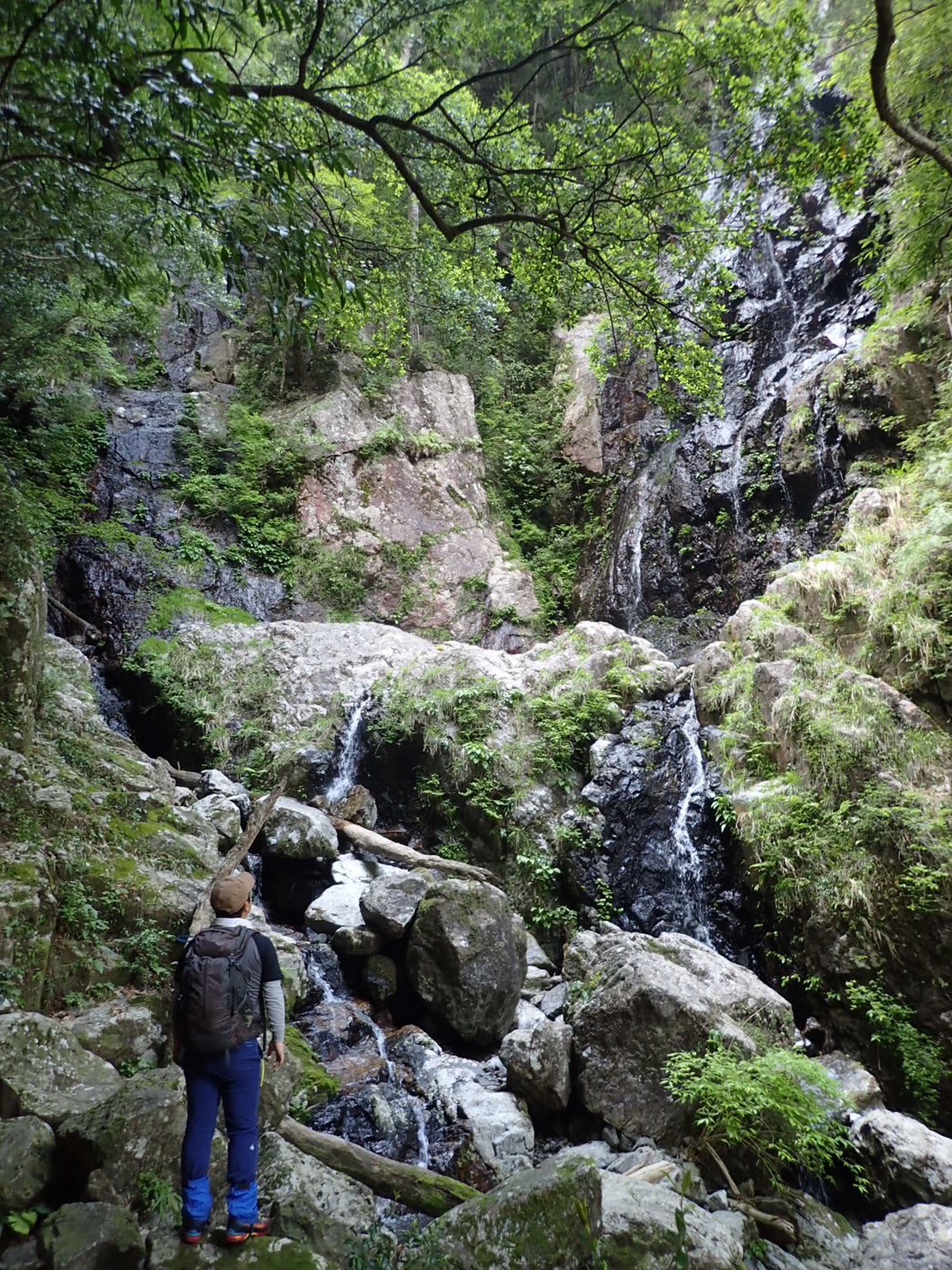 日本三大渓谷を行く 大杉谷 桃の木山の家泊 大台ケ原 山の上のまっちゃんさんの大台ヶ原山 日出ヶ岳 大杉谷の活動データ Yamap ヤマップ