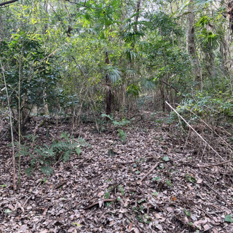 飯塚市 普通の山の景色。