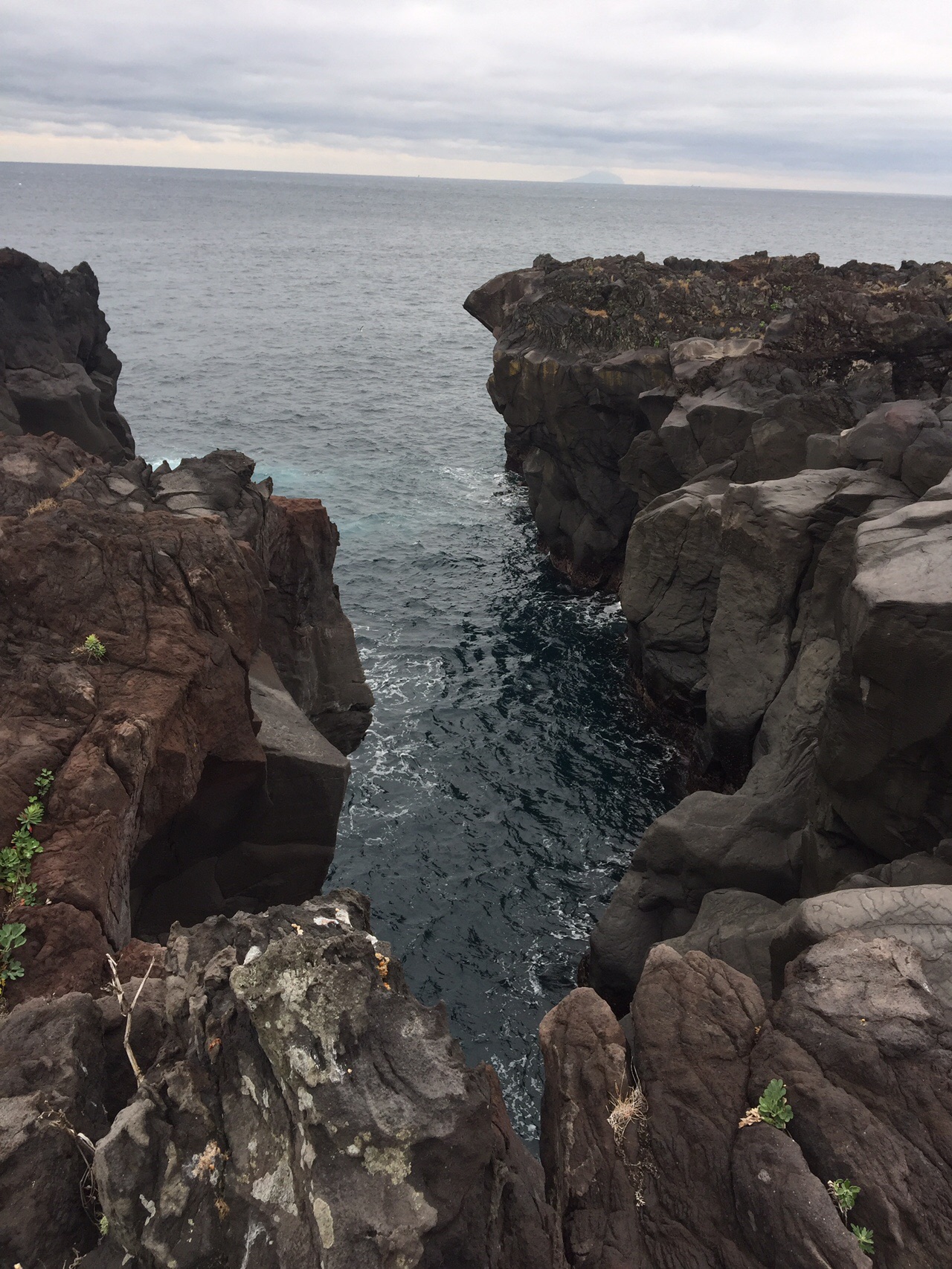 いがいが根 つきたちさんの城ヶ崎海岸自然研究路コースの活動データ Yamap ヤマップ