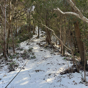御伊勢山・雨乞山・相原山 まあまあ汗かいて来た💦