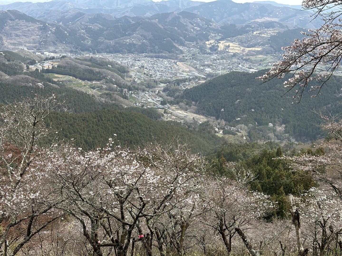 弁天山・桜山 / yugonさんの御荷鉾山・オドケ山・桐ノ城山の活動データ | YAMAP / ヤマップ