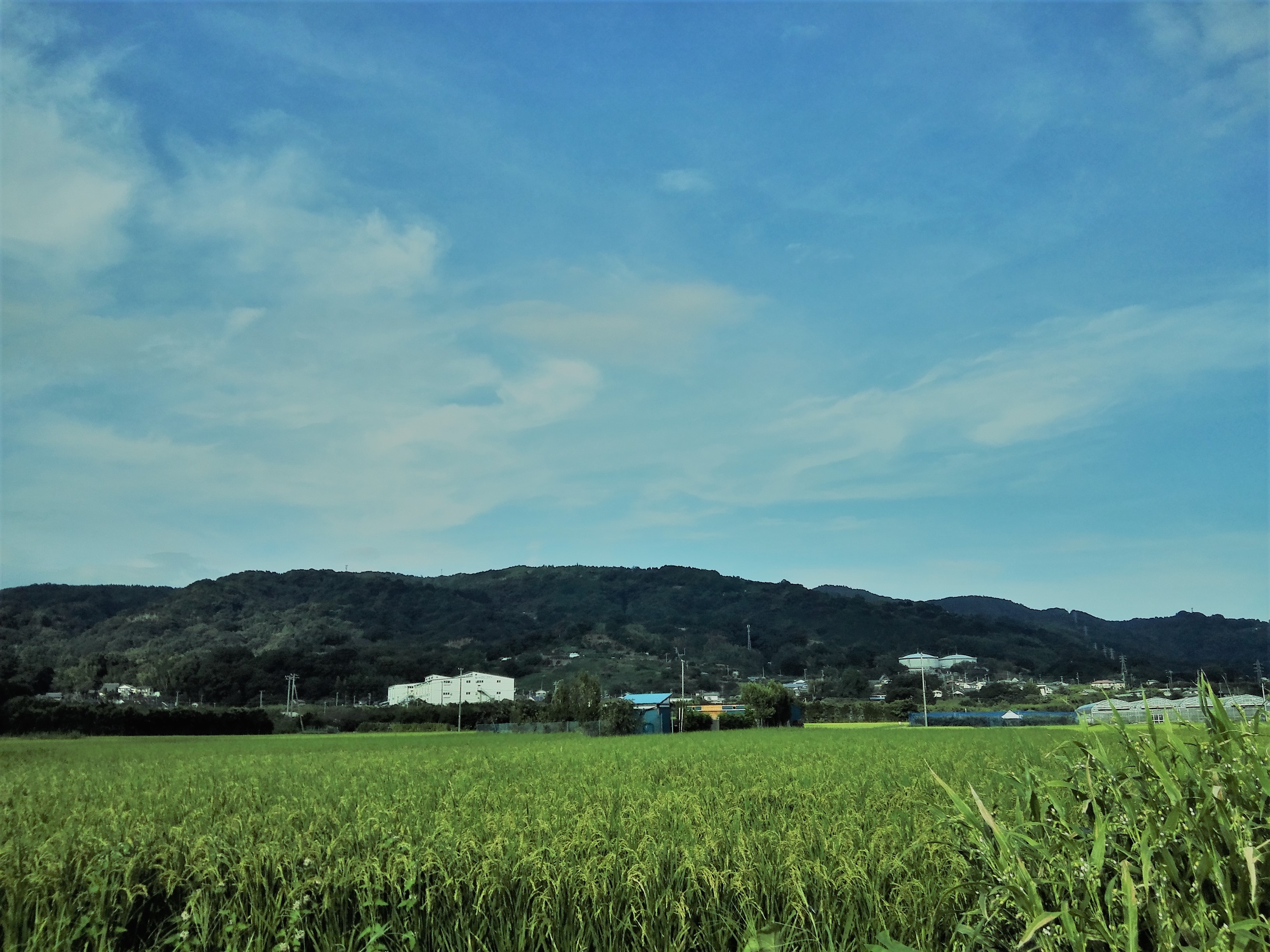 不動山(曽我丘陵)1/2 26.5km自転車とトレランで南足柄から一周 