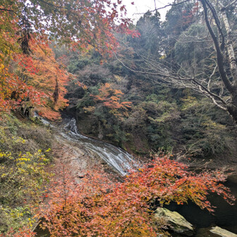 道を譲りながらの1枚