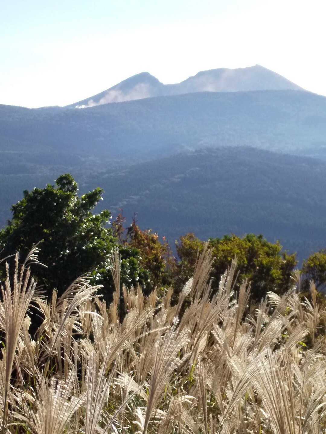 頑張って！⛰️栗野岳第2峰・栗野岳⛰️ 11600歩🥾 / たかちゃんさんの霧島山・韓国岳・高千穂峰・夷守岳・烏帽子岳の活動データ