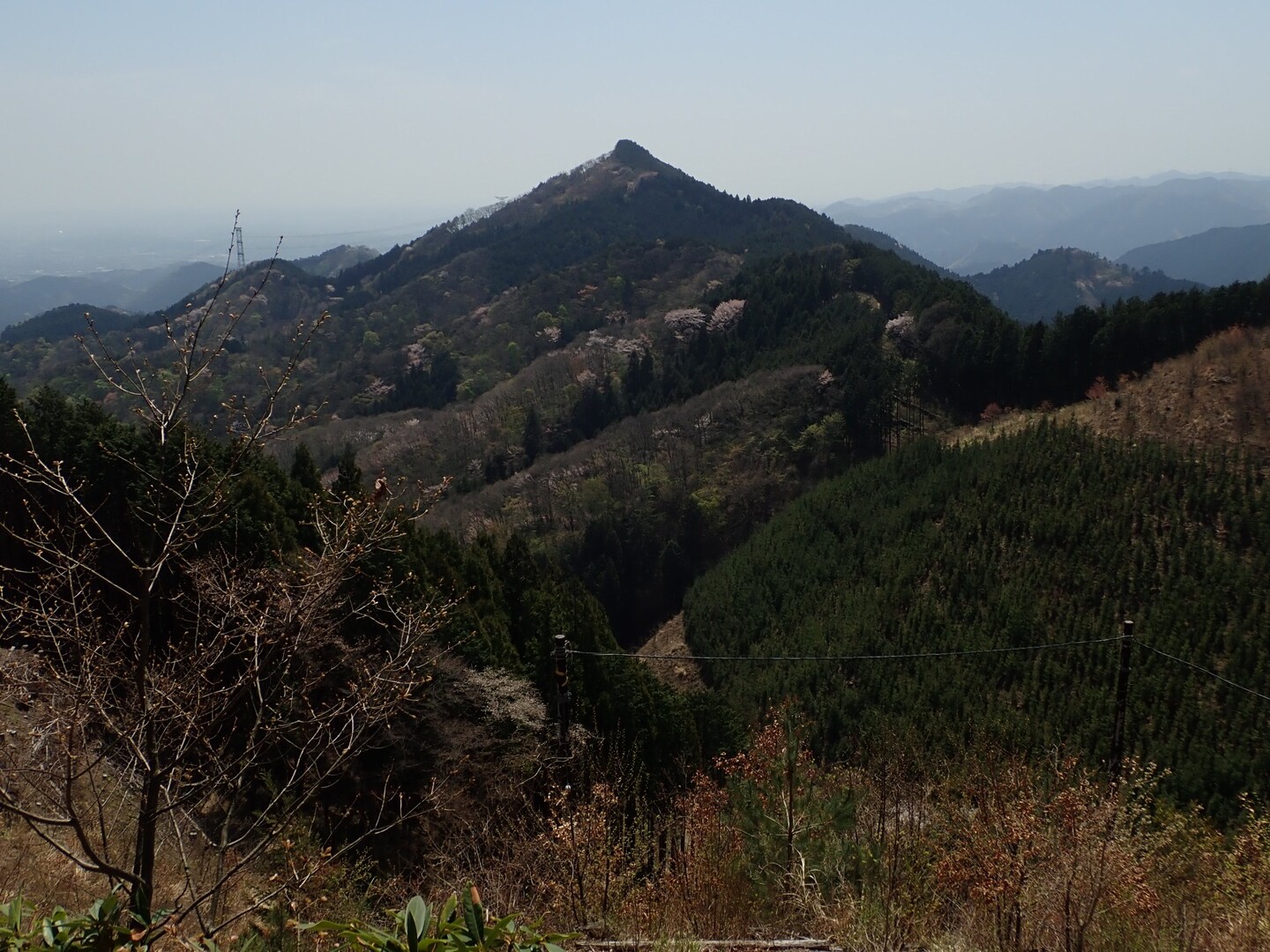 麻生山 東京都 東京 の山総合情報ページ 登山ルート 写真 天気情報など Yamap ヤマップ